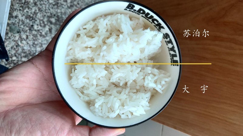 大宇电压力锅体验，一锅两用，煲饭炖肉样样不能少