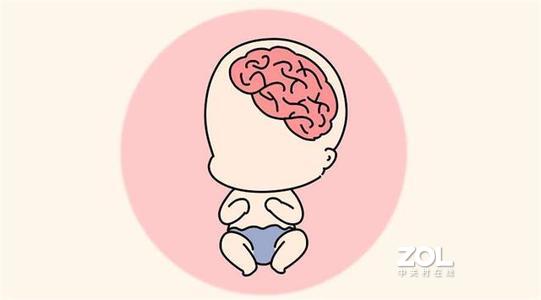 孕期小知识：胎儿大脑的发育阶段