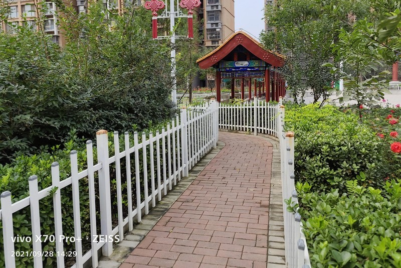 新机拍照一组照片看一下效果。