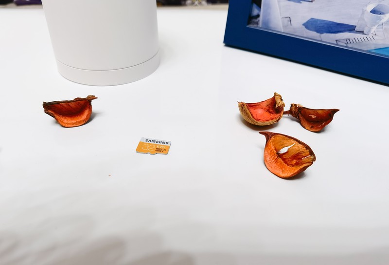 我的看家好助手，小豚当家AI全彩摄像头使用体验