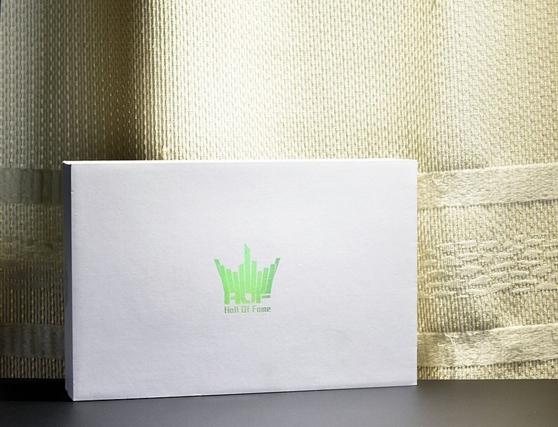 小姐姐男票的影驰名人堂HOF 2T PCle RGB固态 让我欲罢不能......