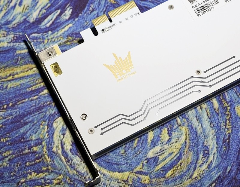 小姐姐男票的影驰名人堂HOF 2T PCle RGB固态 让我欲罢不能......