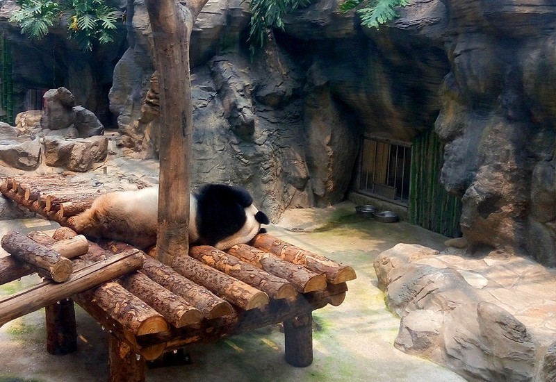 拍得更远更清晰，带着OPPO Reno 10倍变焦版逛动物园