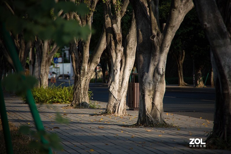 全幅机配 18-200 腾龙A14