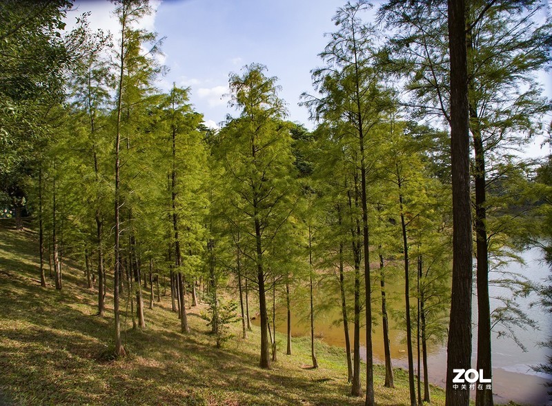 全幅机配 18-200 腾龙A14