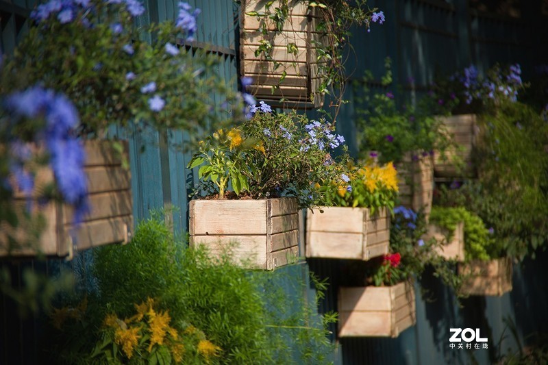 全幅机配 18-200 腾龙A14