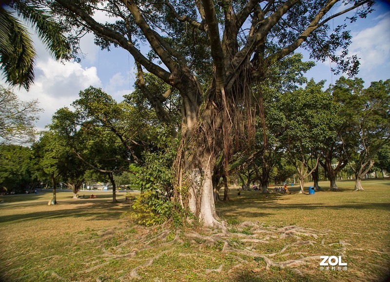 全幅机配 18-200 腾龙A14