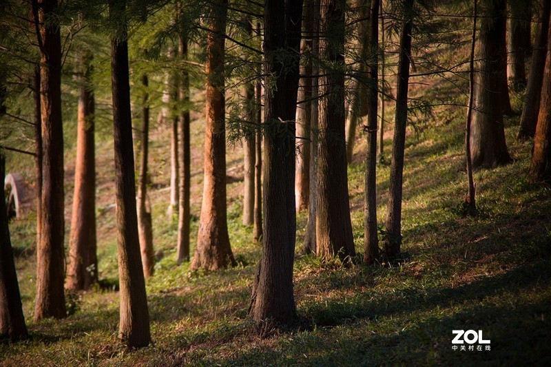 全幅机配 18-200 腾龙A14