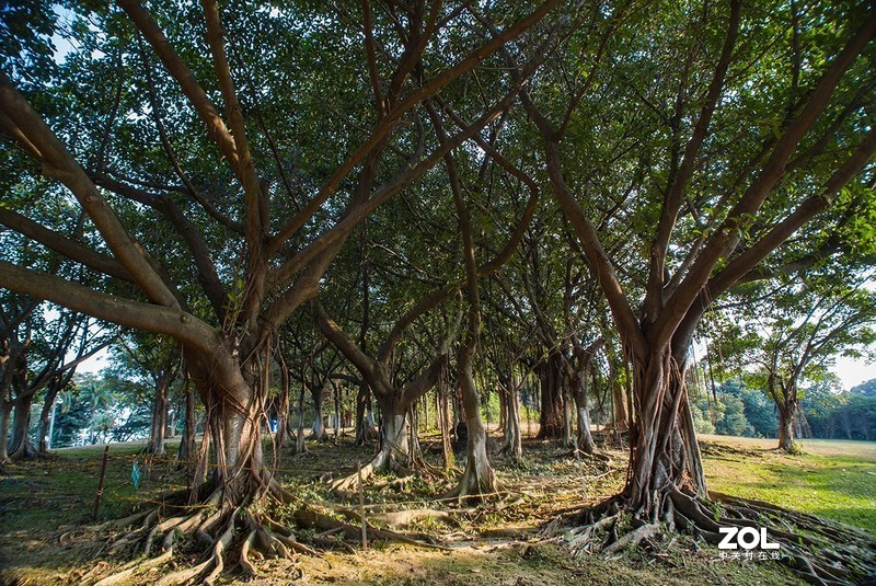 全幅机配 18-200 腾龙A14