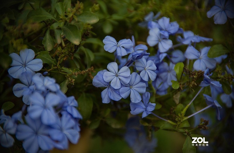 全幅机配 18-200 腾龙A14