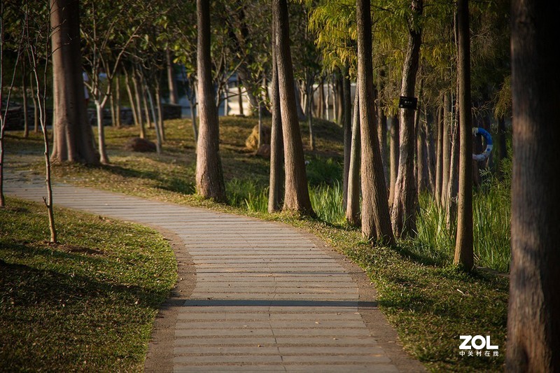 全幅机配 18-200 腾龙A14