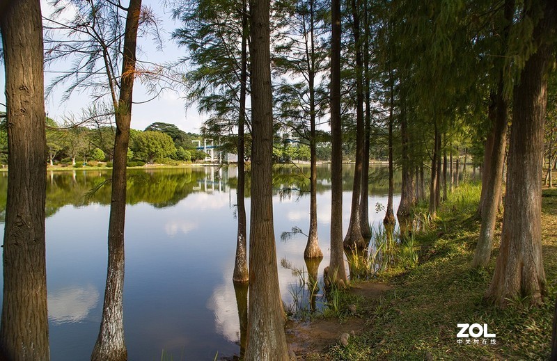 全幅机配 18-200 腾龙A14