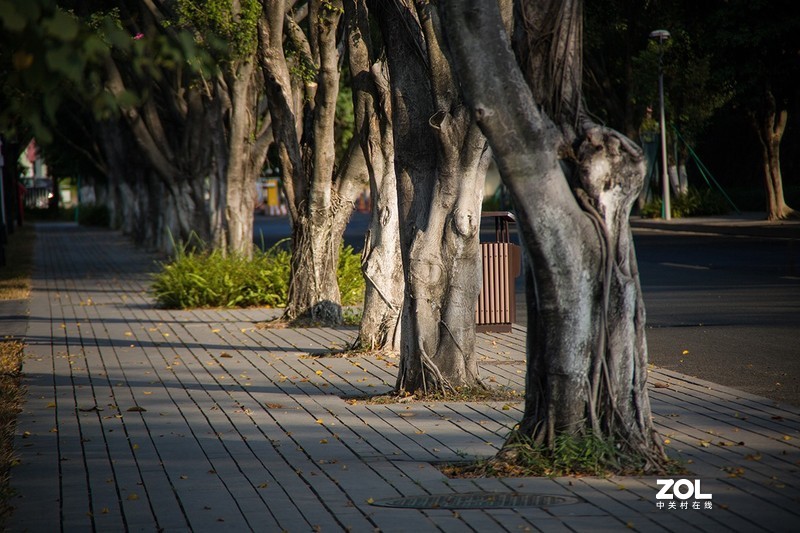 全幅机配 18-200 腾龙A14