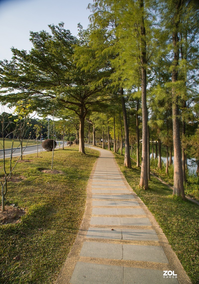 全幅机配 18-200 腾龙A14