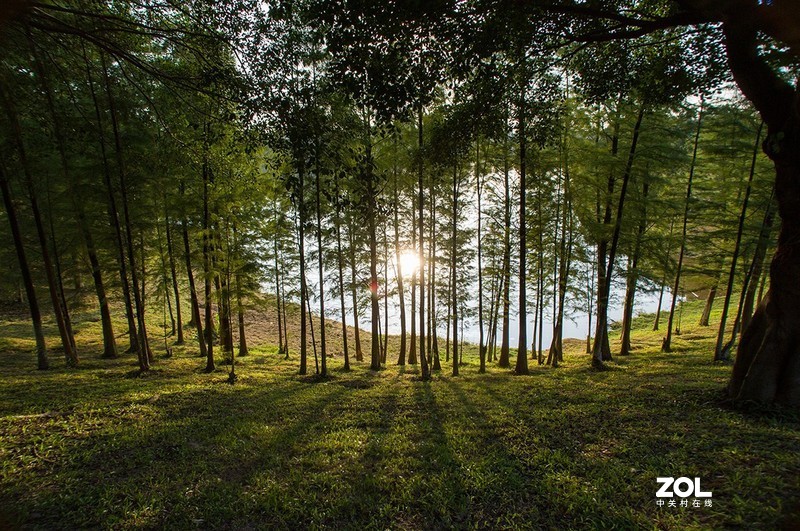 全幅机配 18-200 腾龙A14