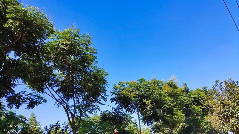 别怀疑，不到2000元的vivoY73s拍摄就是这么强