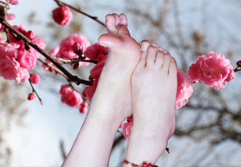 美足美脚与花 [15P]