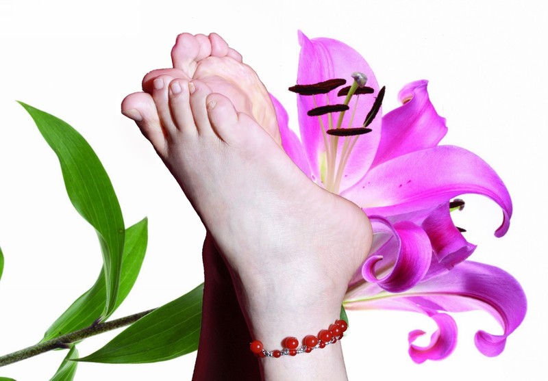 美足美脚与花 [15P]