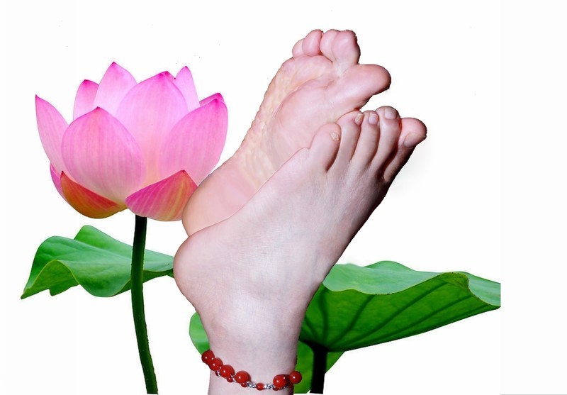 美足美脚与花 [15P]