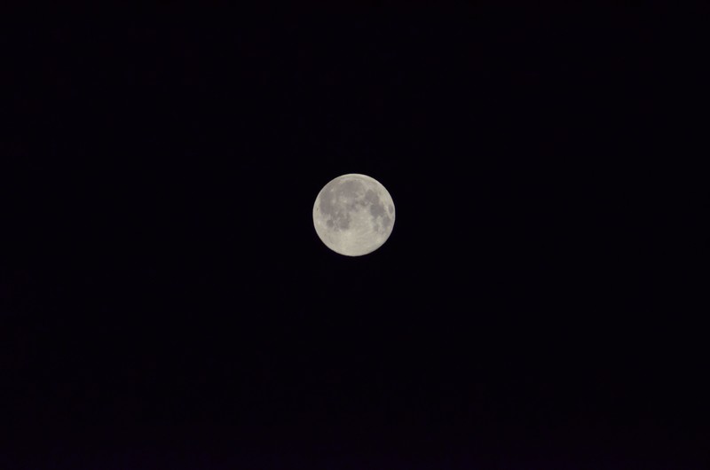 十五的月亮十六圆