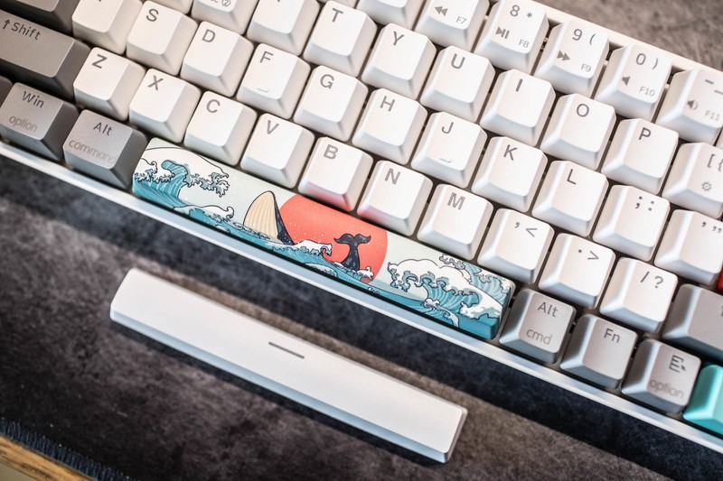 自己动手调校一把满分键盘，SKYLOONG Lite gasket带来的全新体验