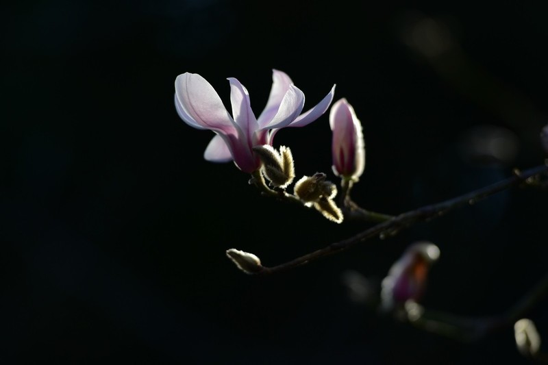 早春正月