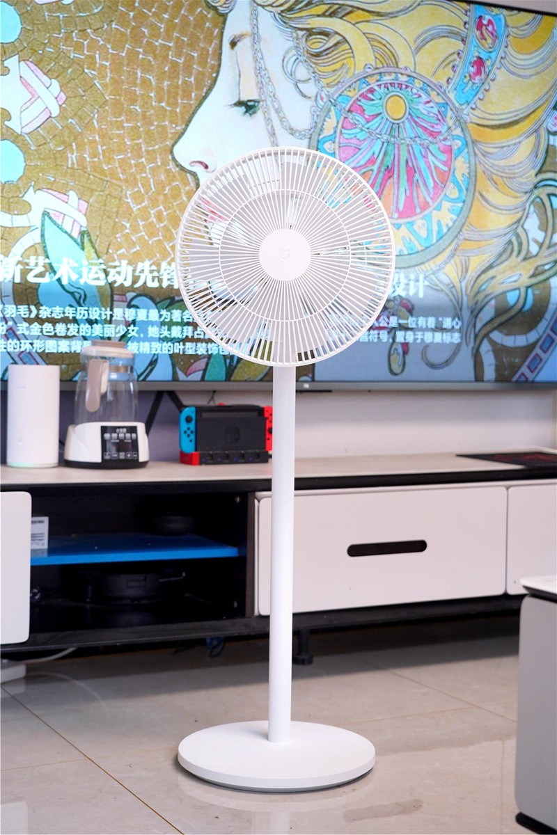 双层扇叶设计，支持小爱同学--米家直流变频循环落地扇电池版分享。