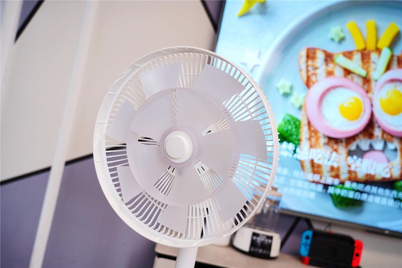 双层扇叶设计，支持小爱同学--米家直流变频循环落地扇电池版分享。