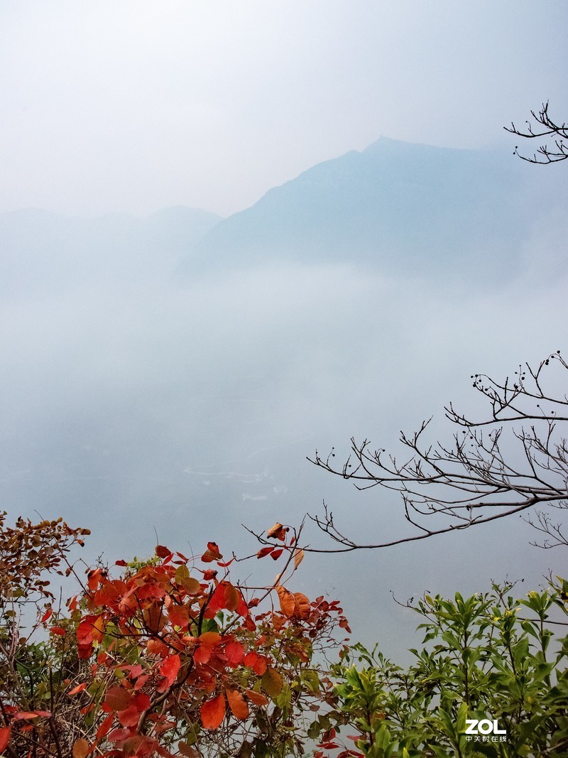三峡红叶似彩霞