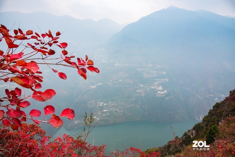三峡红叶似彩霞