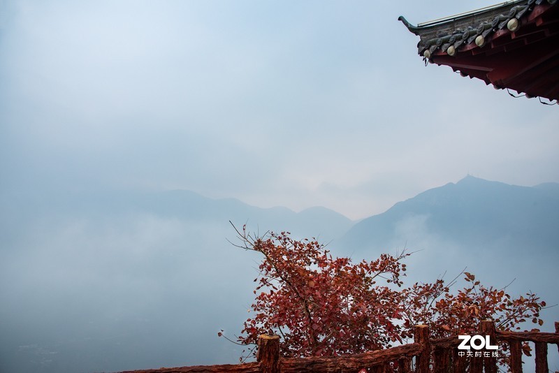 三峡红叶似彩霞