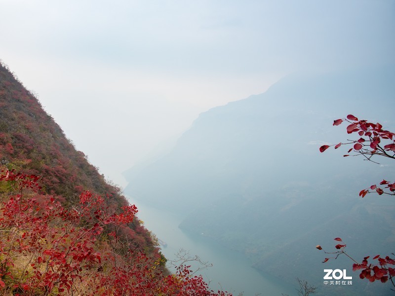三峡红叶似彩霞