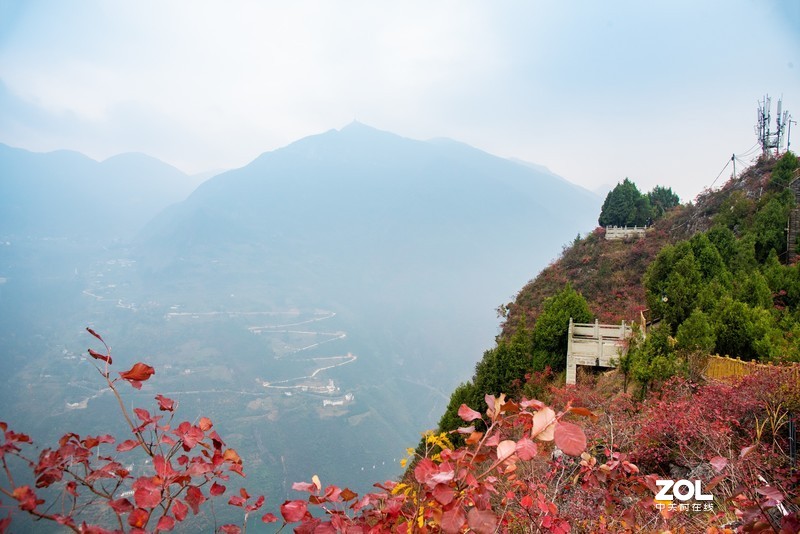 三峡红叶似彩霞