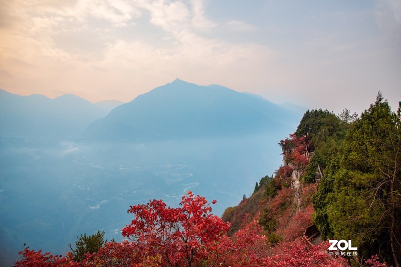三峡红叶似彩霞