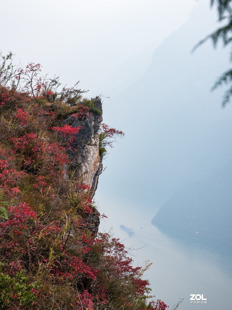 三峡红叶似彩霞