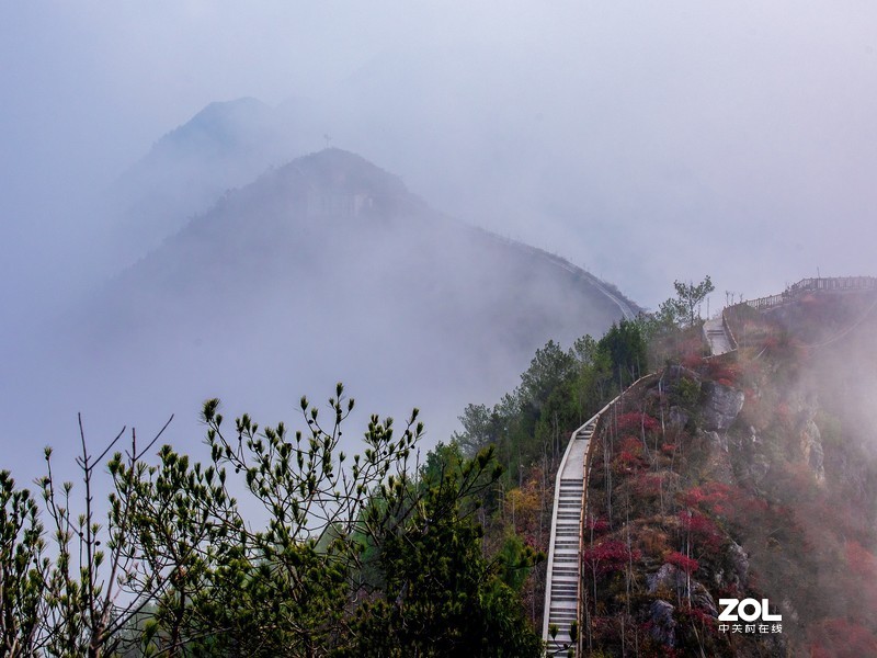 三峡红叶似彩霞