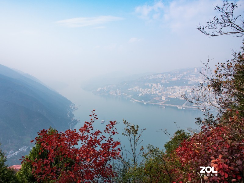 三峡红叶似彩霞