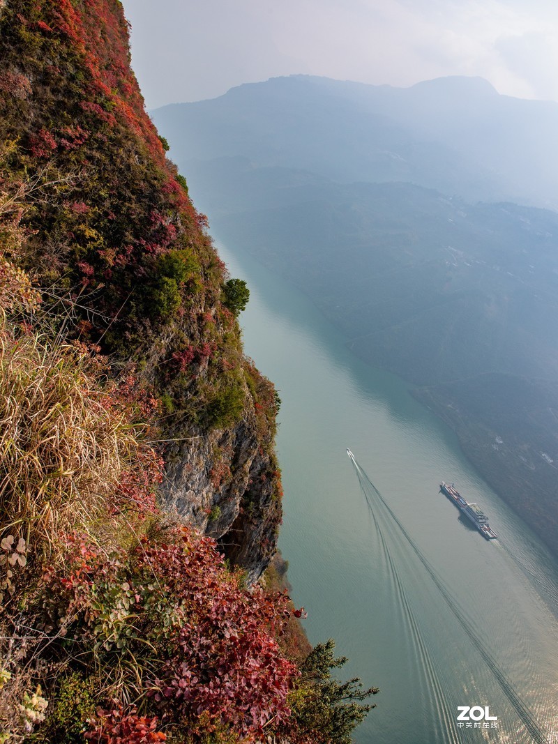 三峡红叶似彩霞