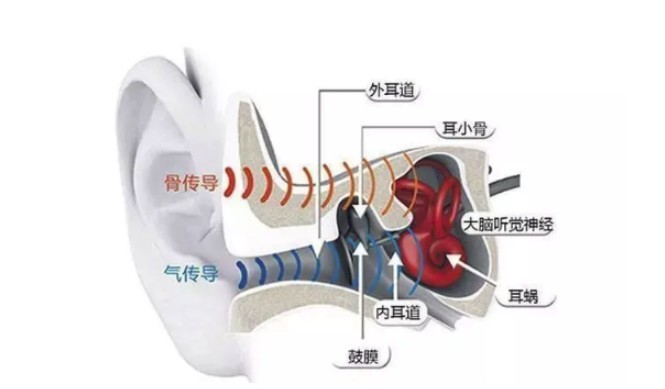 苹果申请专利，南卡和韶音能将骨传导耳机技术革新？