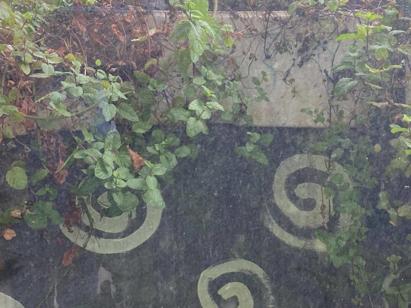 十年未擦窗，一朝自动净，UONI由利自动擦窗机器人使用分享