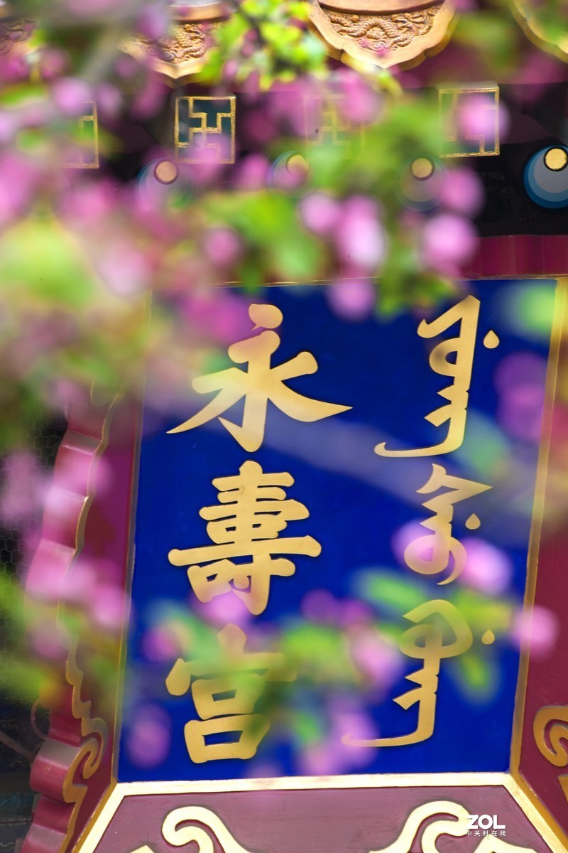【故宫的记忆】花卉~春情