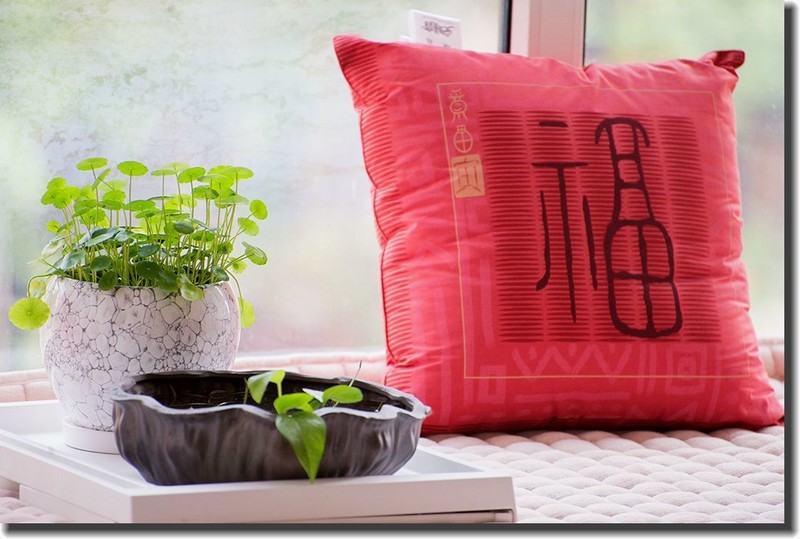 各位老朋友新年快乐