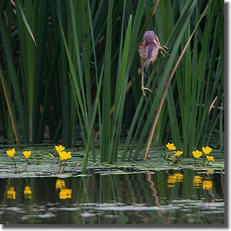 各位老朋友新年快乐