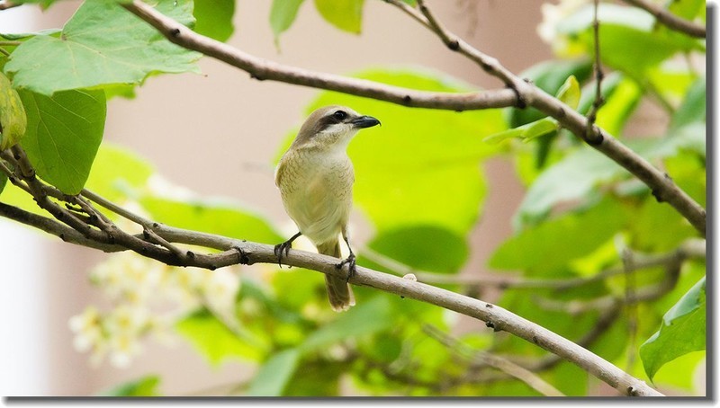 各位老朋友新年快乐