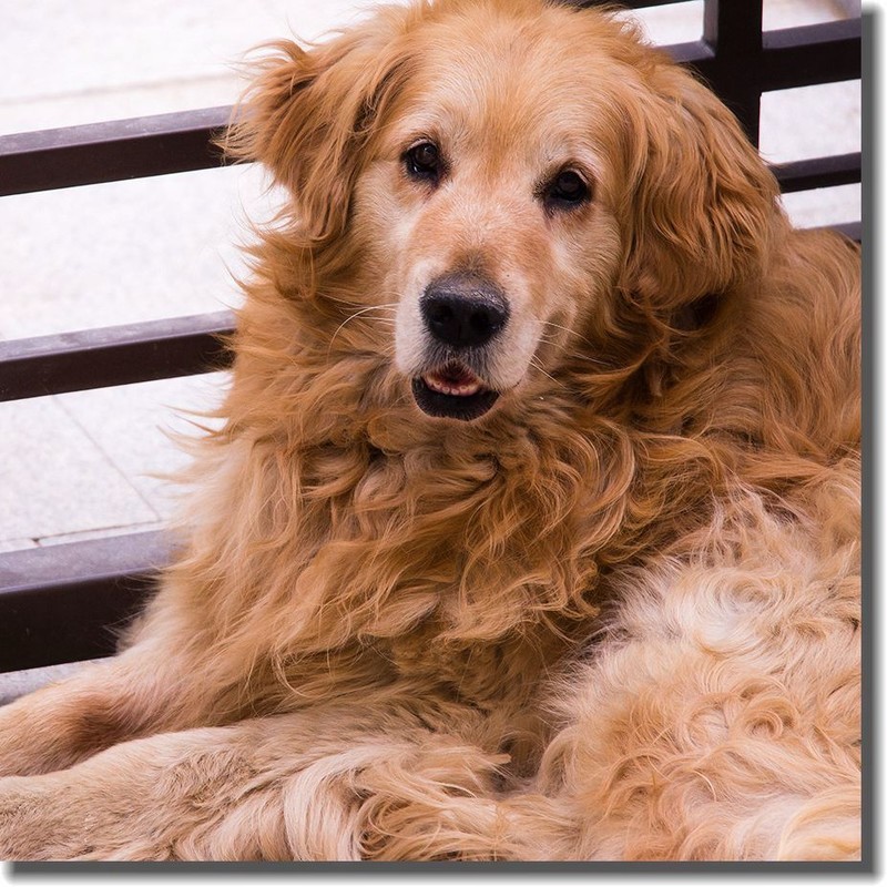 各位老朋友新年快乐