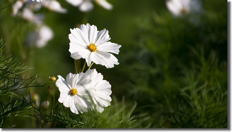 各位老朋友新年快乐