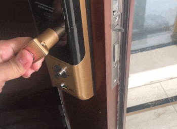 从伪智能到人脸识别，新旗舰德施曼R8，只为服务好更安全的家