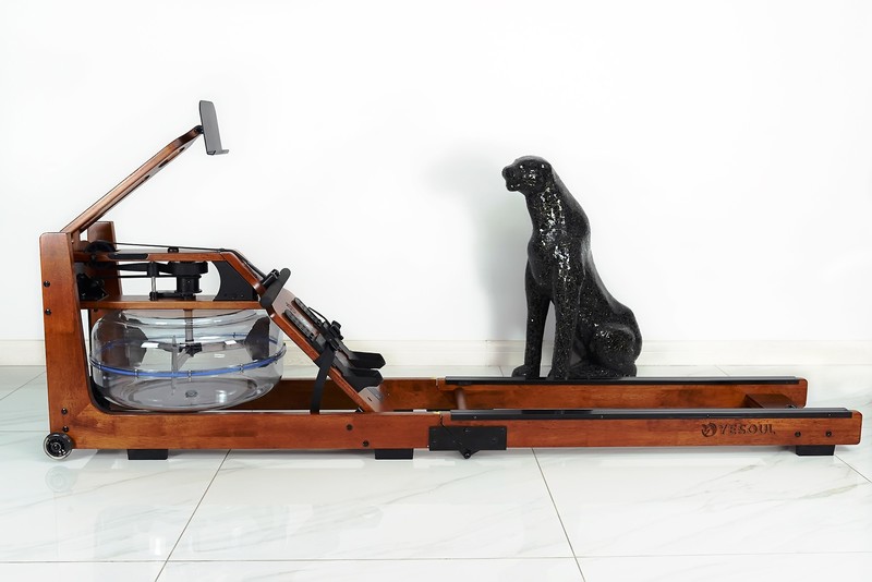 入圈华为HiLink 智联的野小兽划船机，香不香？美女来给真相了