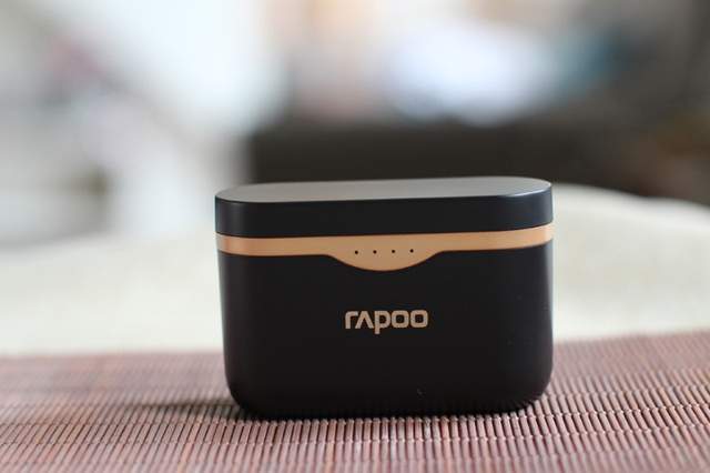 “大块头大智慧”，说说刚到手的雷柏Ti100真无线蓝牙耳机