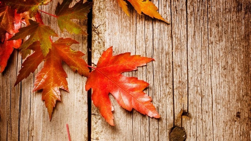 色彩丰富精准度高 消费级专业显示器华硕ProArt PA278QV测评体验